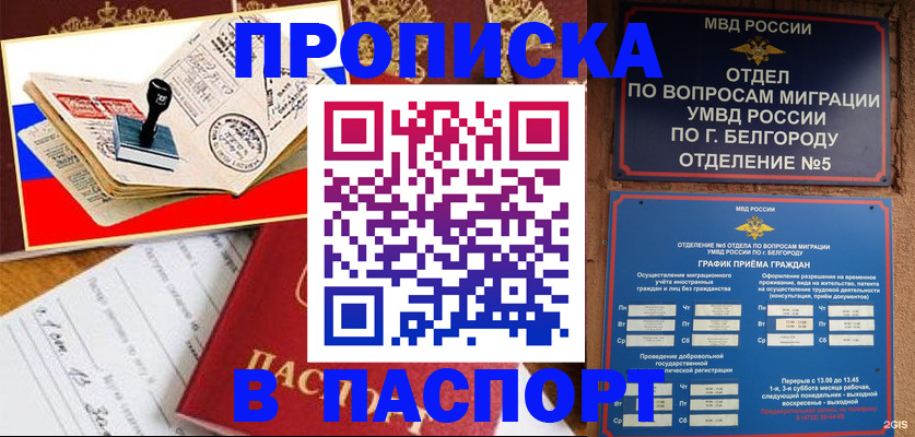 купить прописку в Бородино